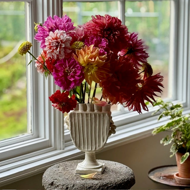 Sabine Tulipiere #1254