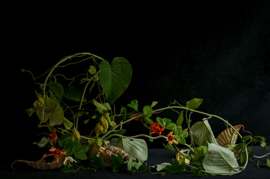 Tablescapes Flower Workshop with Emily Thompson and Frances Palmer