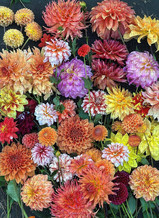 Hello Dahlias! Puzzle