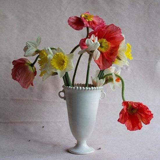 Sabine Pot - Loop Handles