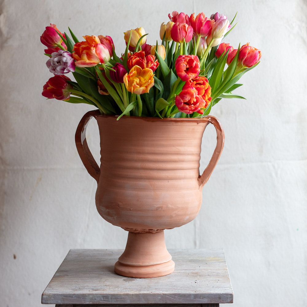 Terracotta Wide Mouth Urn #2192