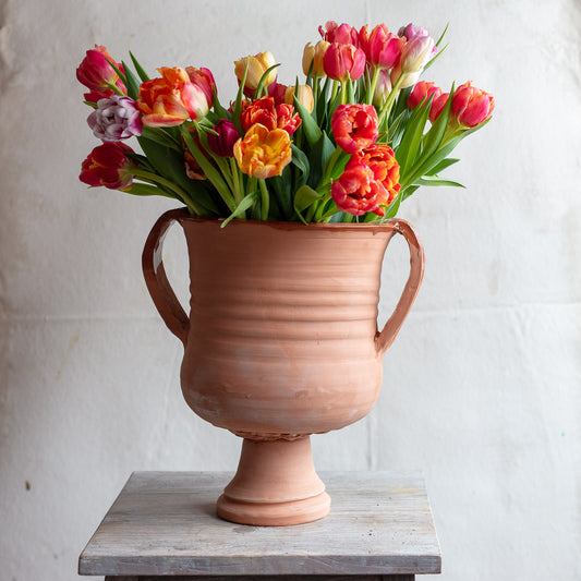 Terracotta Wide Mouth Urn #2192