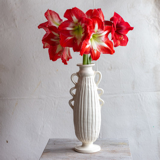 Earthenware Six Handle Vase with Matte Glaze  #1130