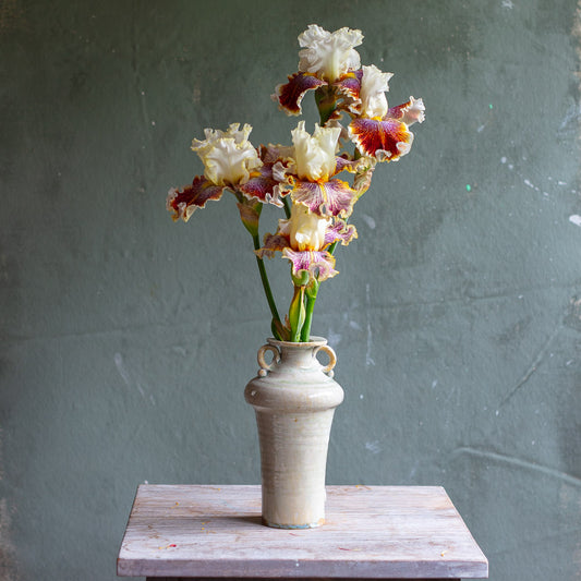 Wood Fired Ash Porcelain Stoneware Vase #505B