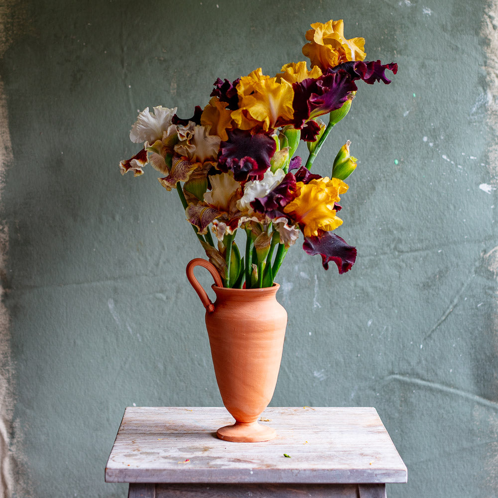 Side Handle Terracotta Vase #1446