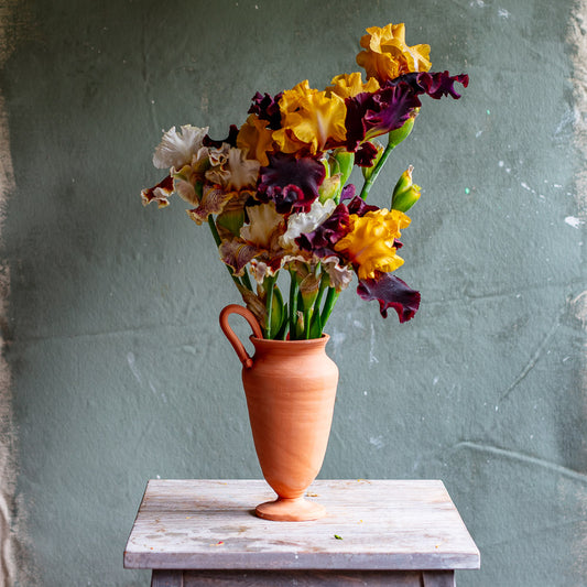 Side Handle Terracotta Vase #1446