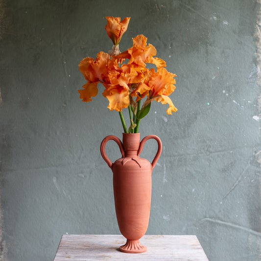 Terracotta Vase with Petals #7756