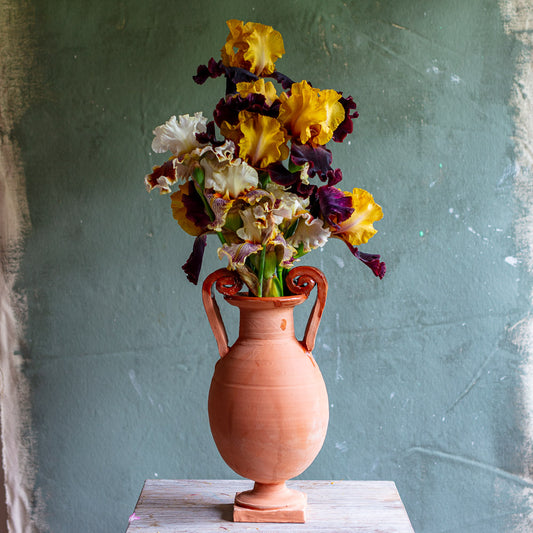 Terracotta Urn on Square Pedestal Curly Handles #0572