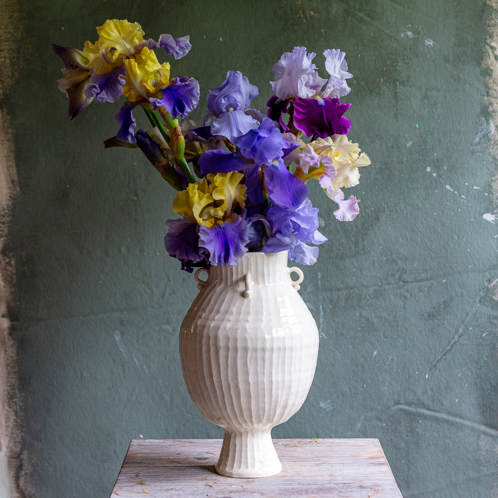 4 Handle Vase #1458
