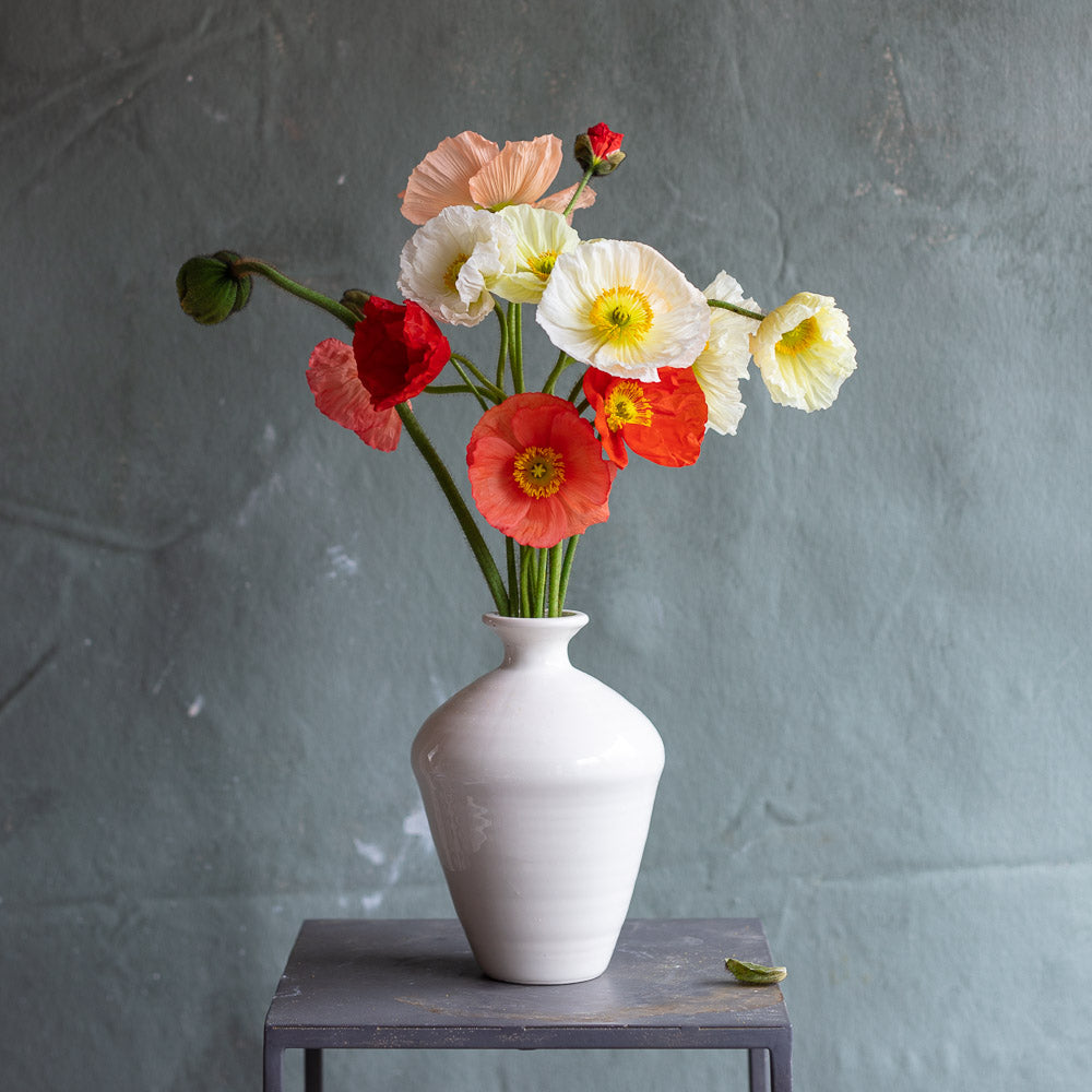 Creamware Hand Cast Bud Vase 4544-5 – Frances Palmer Pottery