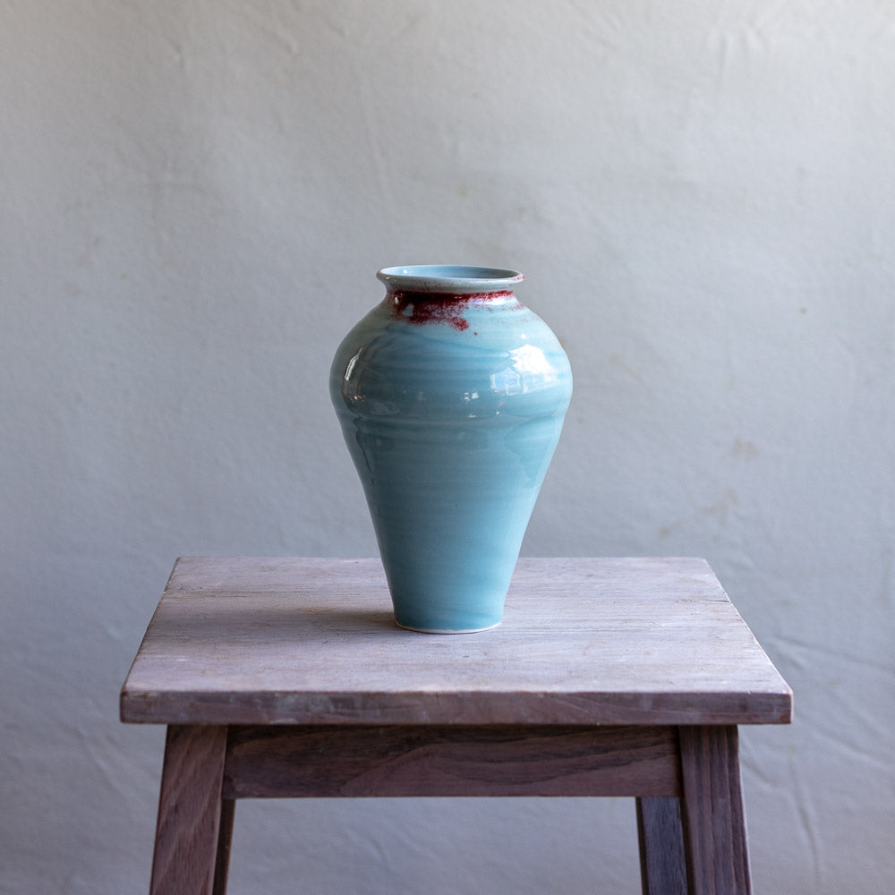 Porcelain Robins Egg and Oxblood Vase #202A