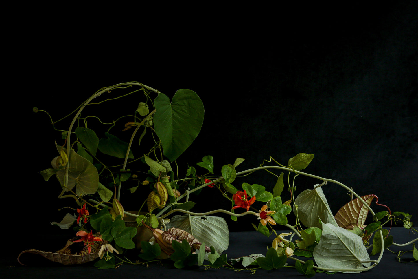 Tablescapes Flower Workshop with Emily Thompson and Frances Palmer